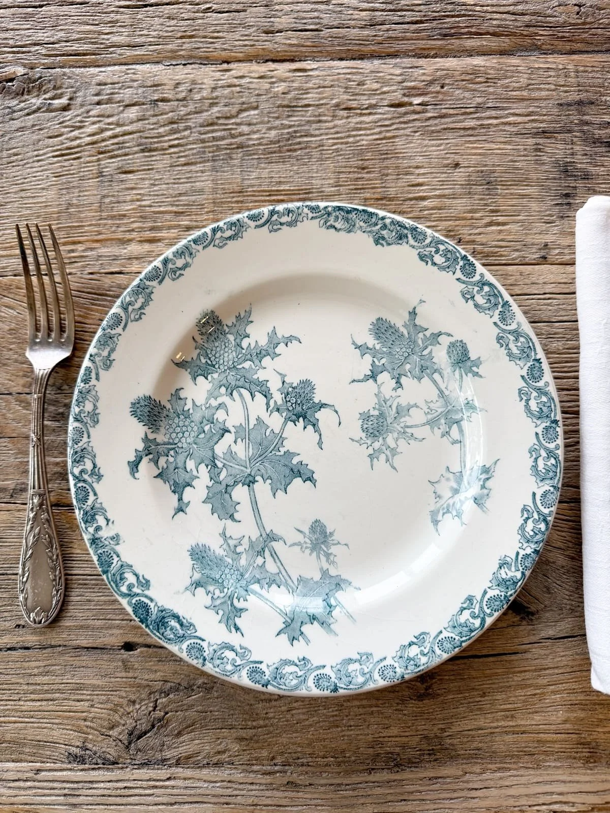 19th Century Antique French Ironstone Blue Floral Terre de Fer Plates